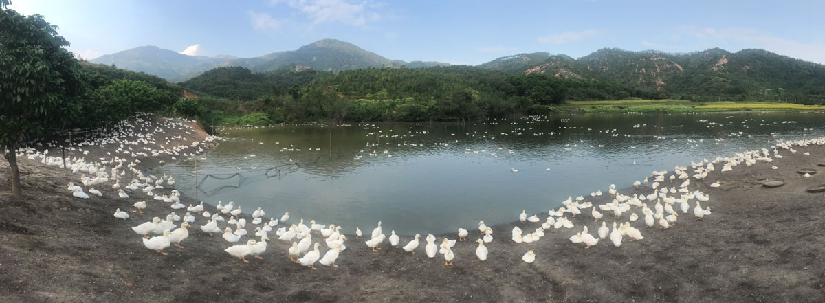 养殖基地2.jpg