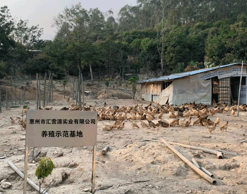 养殖基地